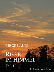 eBook Risse im Himmel